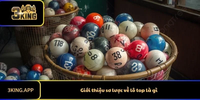 Giới thiệu sơ lược về lô top là gì
