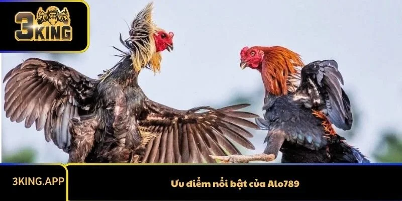 Ưu điểm nổi bật của Alo789