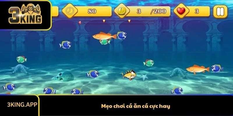Mẹo chơi cá ăn cá cực hay