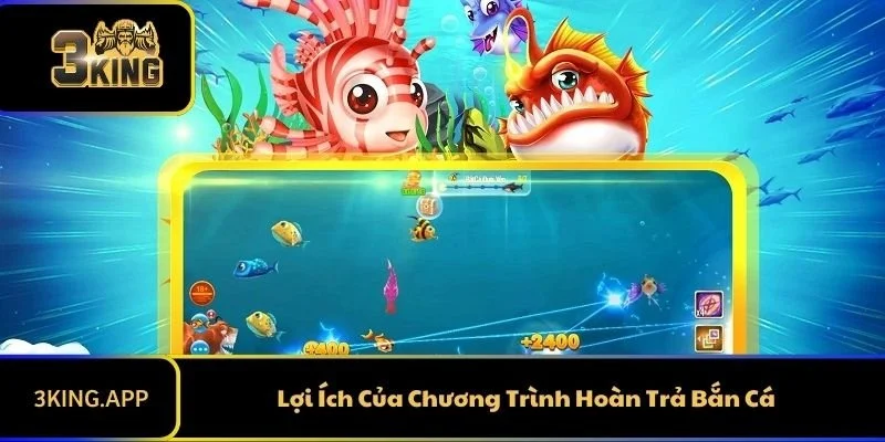 Lợi Ích Của Chương Trình Hoàn Trả Bắn Cá