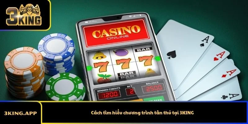 Cách tìm hiểu chương trình tân thủ tại 3KING