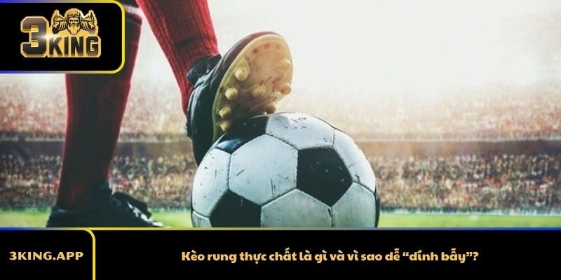 Kèo rung thực chất là gì và vì sao dễ “dính bẫy”?