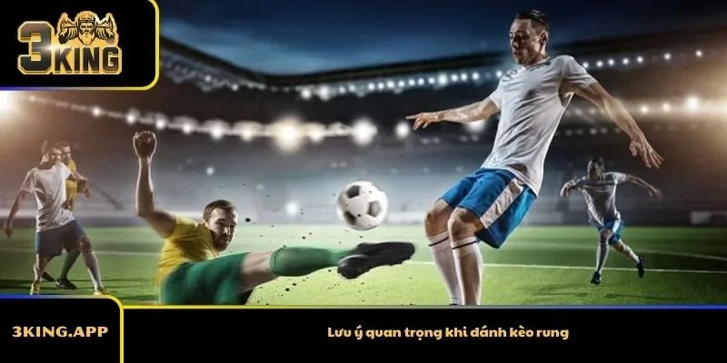 Lưu ý quan trọng khi đánh kèo rung