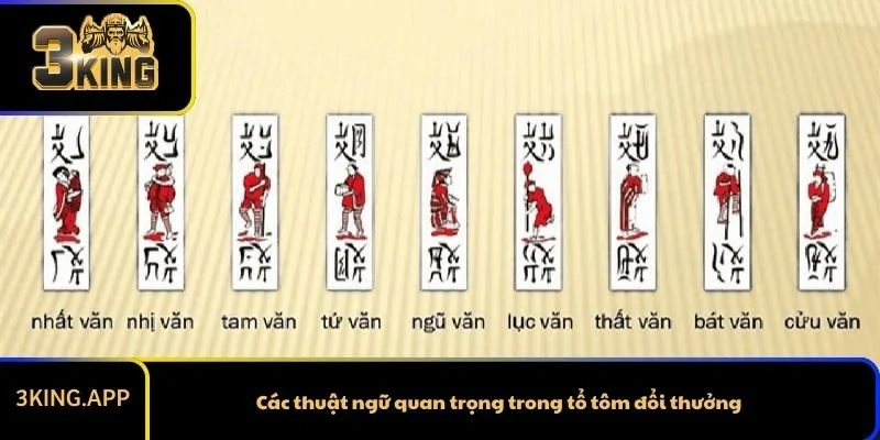 Các thuật ngữ quan trọng trong tổ tôm đổi thưởng