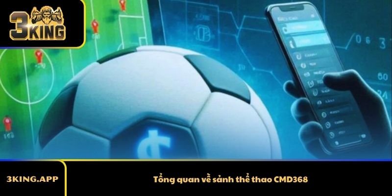 Tổng quan về sảnh thể thao CMD368