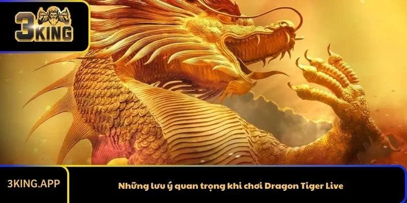 Những lưu ý quan trọng khi chơi Dragon Tiger Live