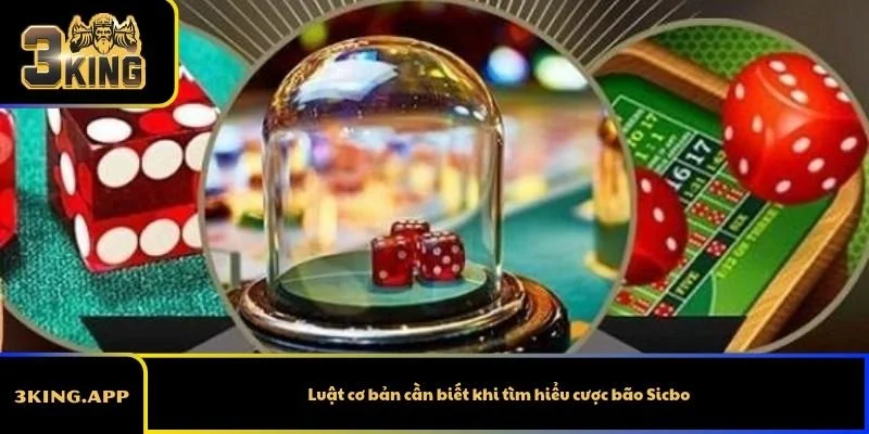 Luật cơ bản cần biết khi tìm hiểu cược bão Sicbo