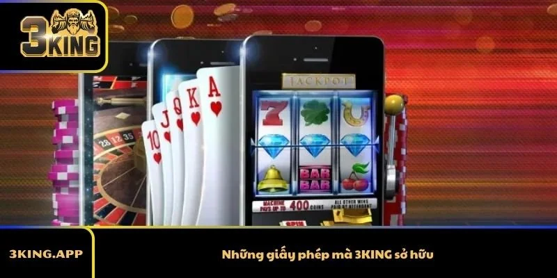 Những giấy phép mà 3KING sở hữu