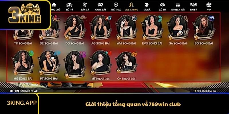 Giới thiệu tổng quan về 789win club