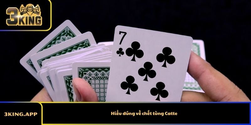 Hiểu đúng về chết tùng Catte