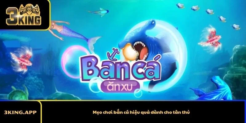 Mẹo chơi bắn cá hiệu quả dành cho tân thủ
