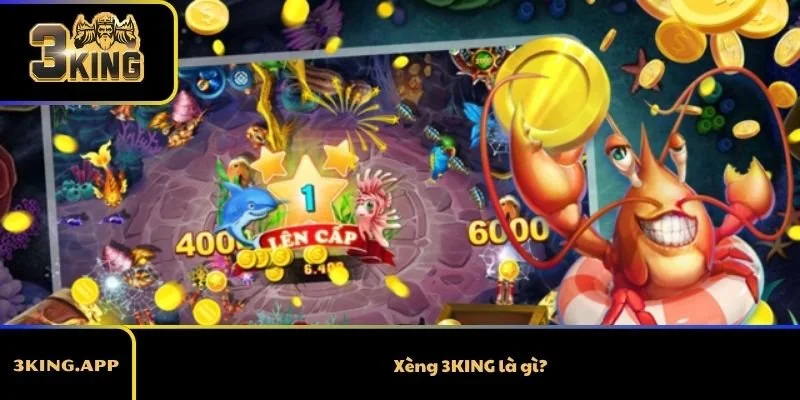 Xèng 3KING là gì?