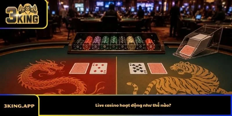 Live casino hoạt động như thế nào?