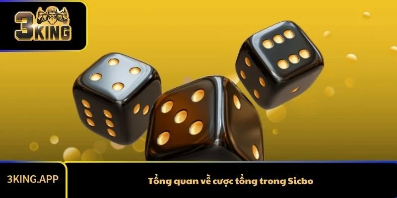 Tổng quan về cược tổng trong Sicbo