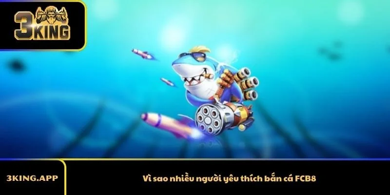 Vì sao nhiều người yêu thích FCB8