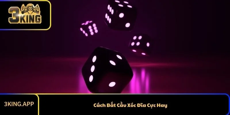 Cách Bắt Cầu Xóc Đĩa Cực Hay