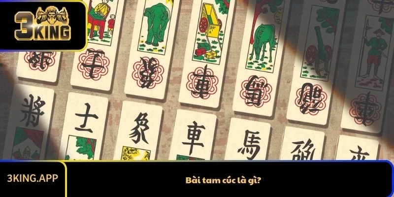 Bài tam cúc là gì?