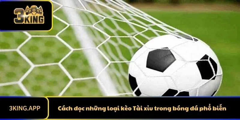 Cách đọc những loại kèo Tài xỉu trong bóng đá phổ biến 