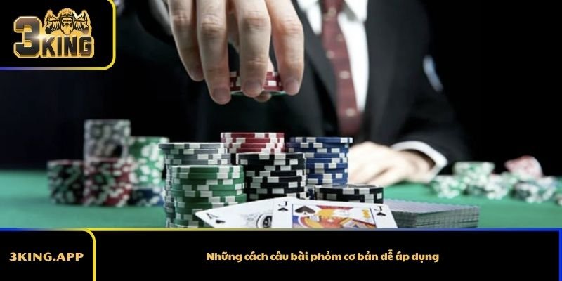 Những cách câu bài phỏm cơ bản dễ áp dụng