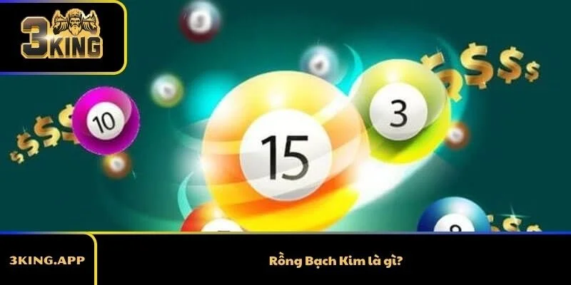 Rồng Bạch Kim là gì?