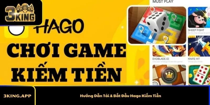 Hướng Dẫn Tải & Bắt Đầu Hago Kiếm Tiền
