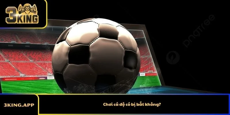 Chơi cá độ có bị bắt không?