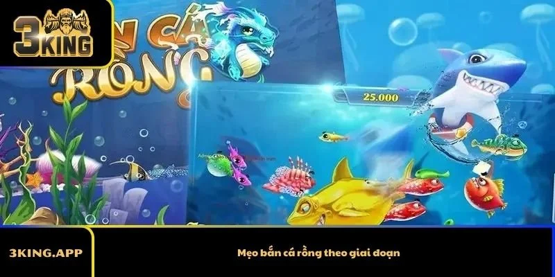Mẹo bắn cá rồng theo giai đoạn