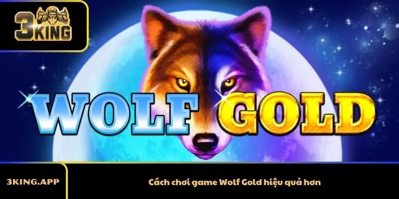 Cách chơi game Wolf Gold hiệu quả hơn