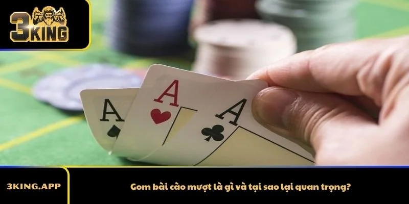 Gom bài cào mượt là gì và tại sao lại quan trọng?