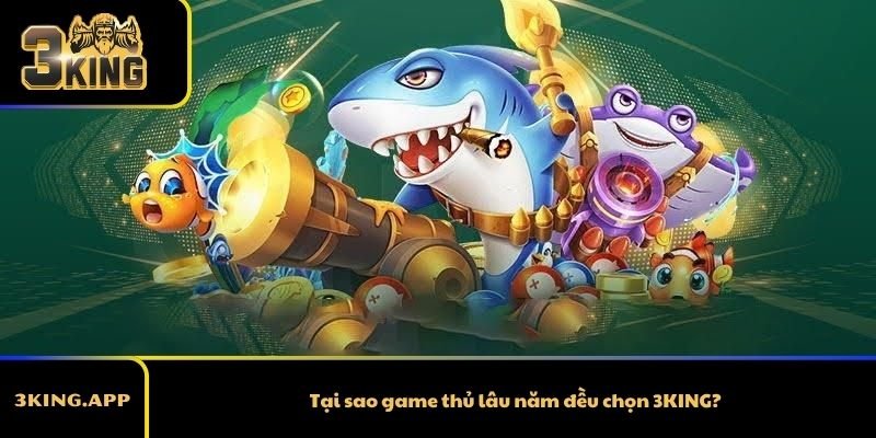 Tại sao game thủ lâu năm đều chọn 3KING?