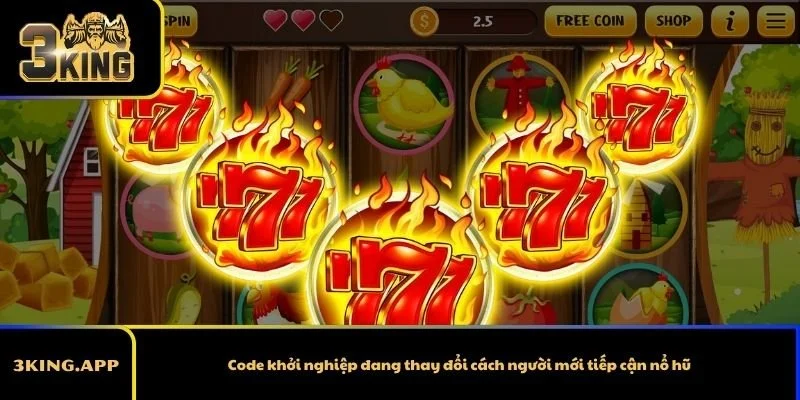 Code khởi nghiệp đang thay đổi cách người mới tiếp cận nổ hũ