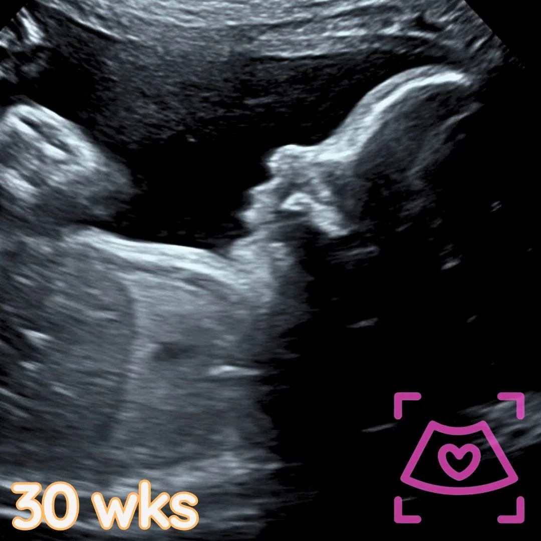 Watermarked Gallery 2025 (19).jpg