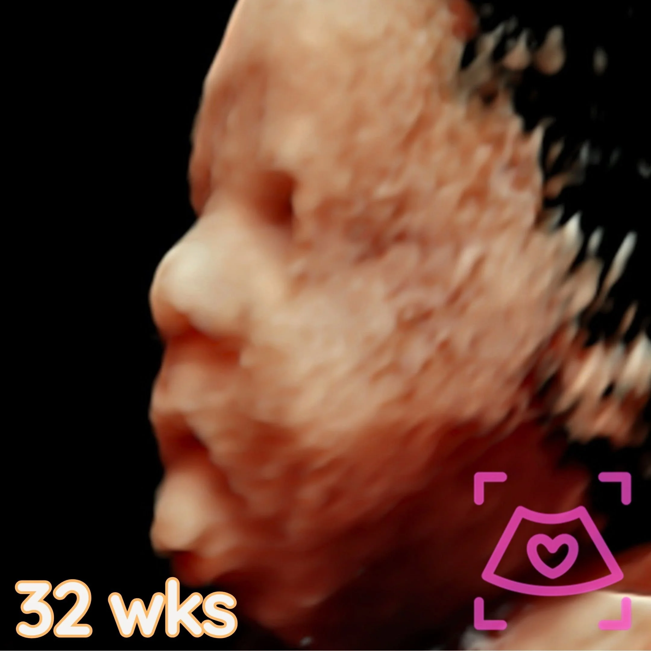 138.jpg