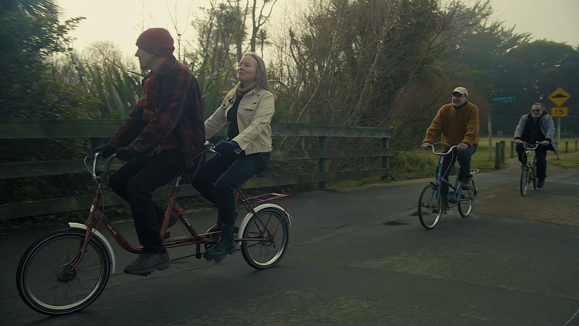 The Bats (Flying Nun Records)