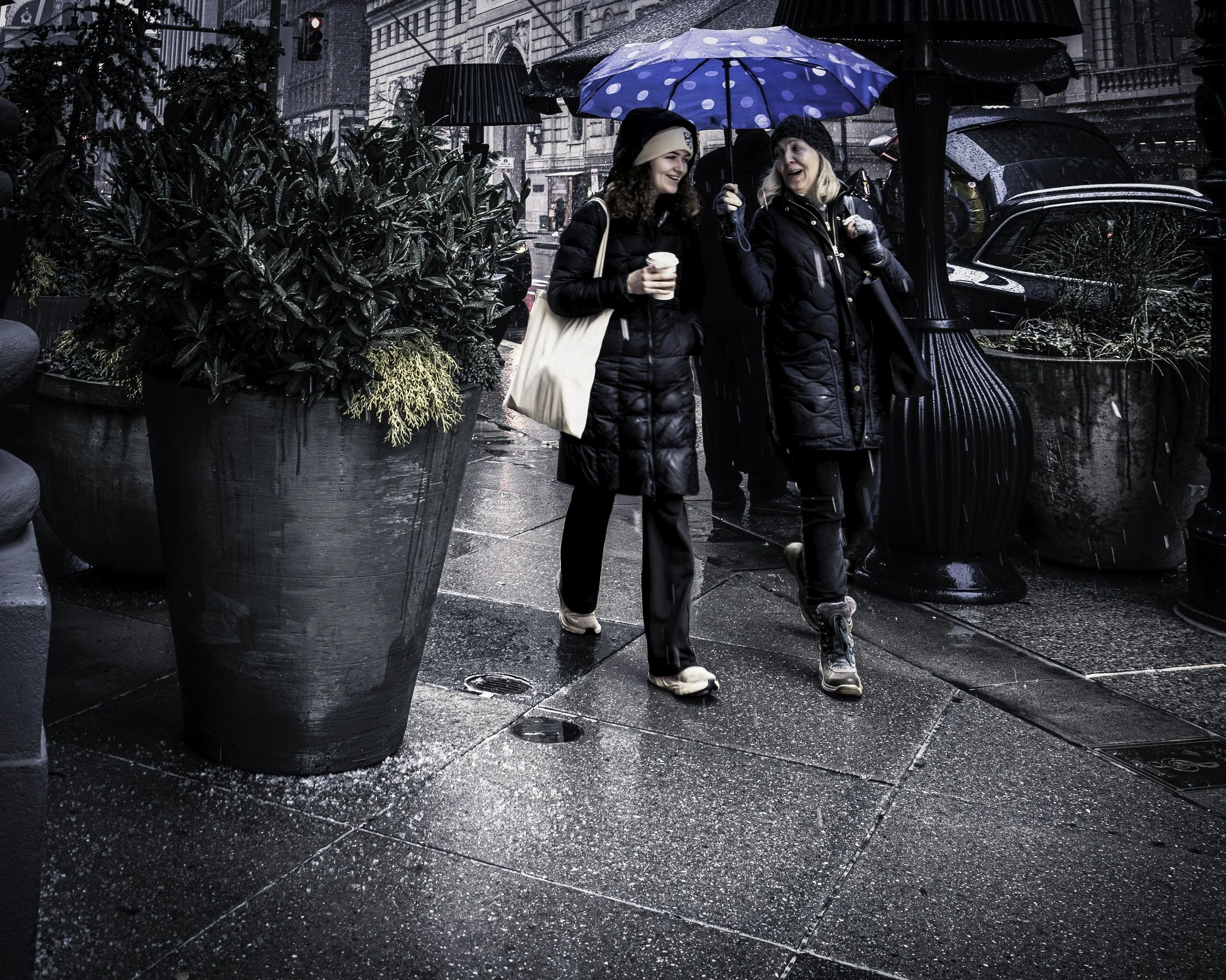 Blue Umbrella, Wet Street
Two women walk together on a wet sidewalk beneath a blue polka-dot umbrella, framed by large planters and rain-darkened pavement.