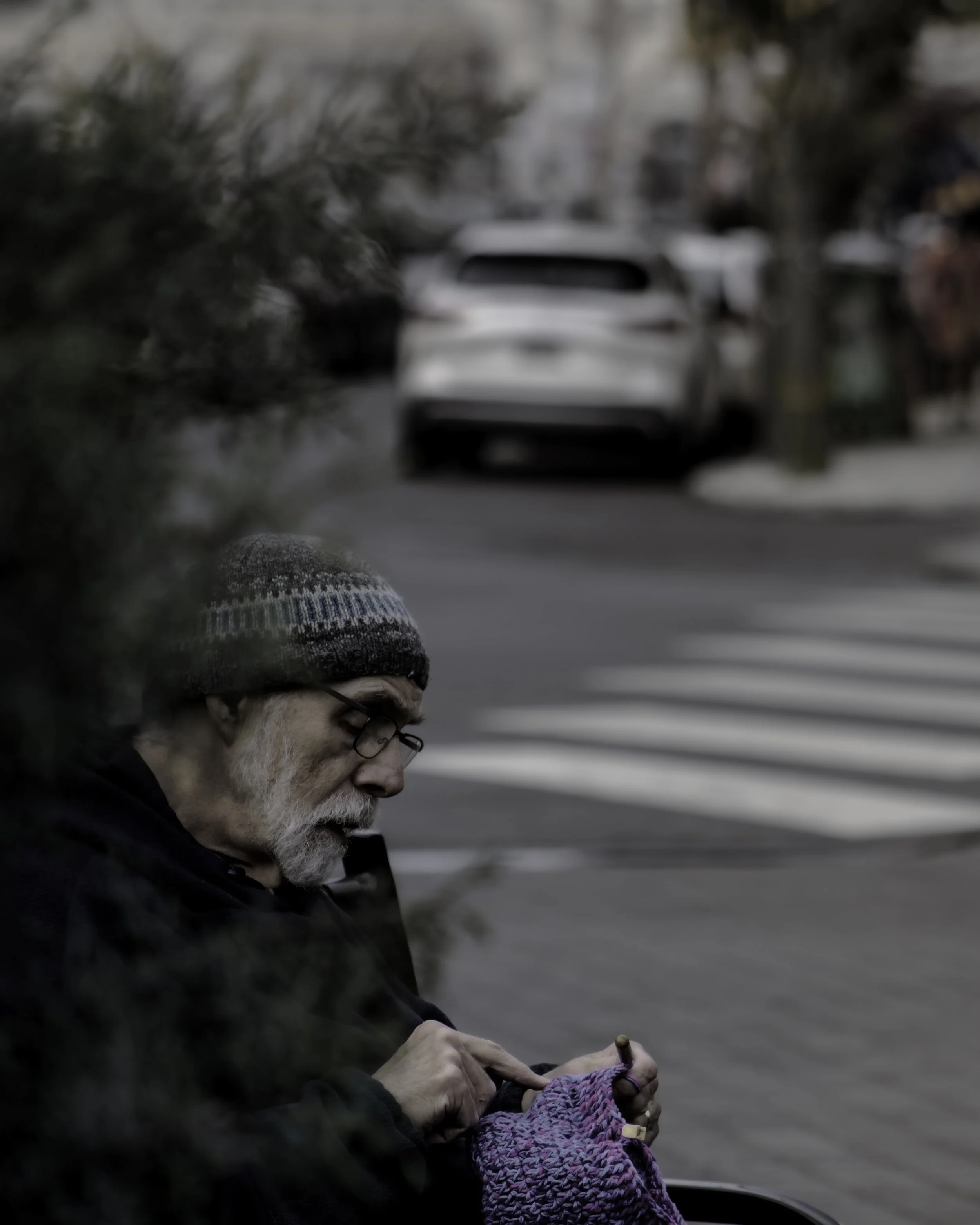 0109Patterns in the Crosswalk IMG_1195.jpg