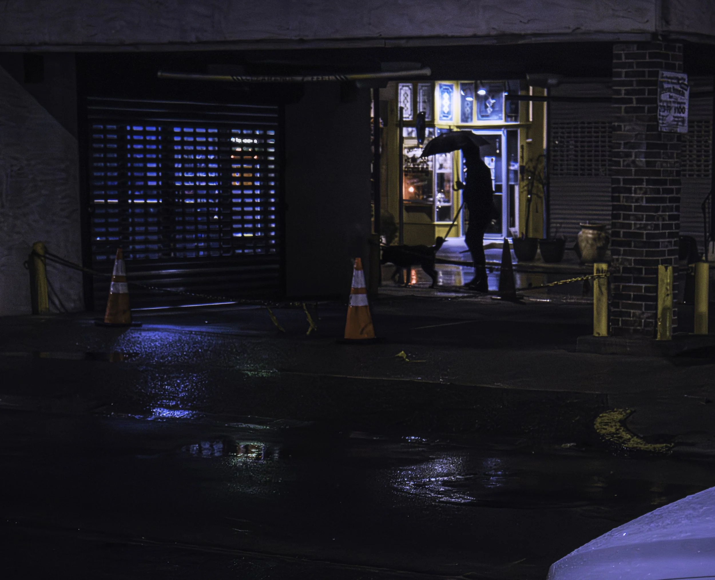 Umbrella and Hound
Silhouetted person holding an umbrella stands with a dog outside a lit doorway, with wet pavement and orange traffic cones in the foreground.