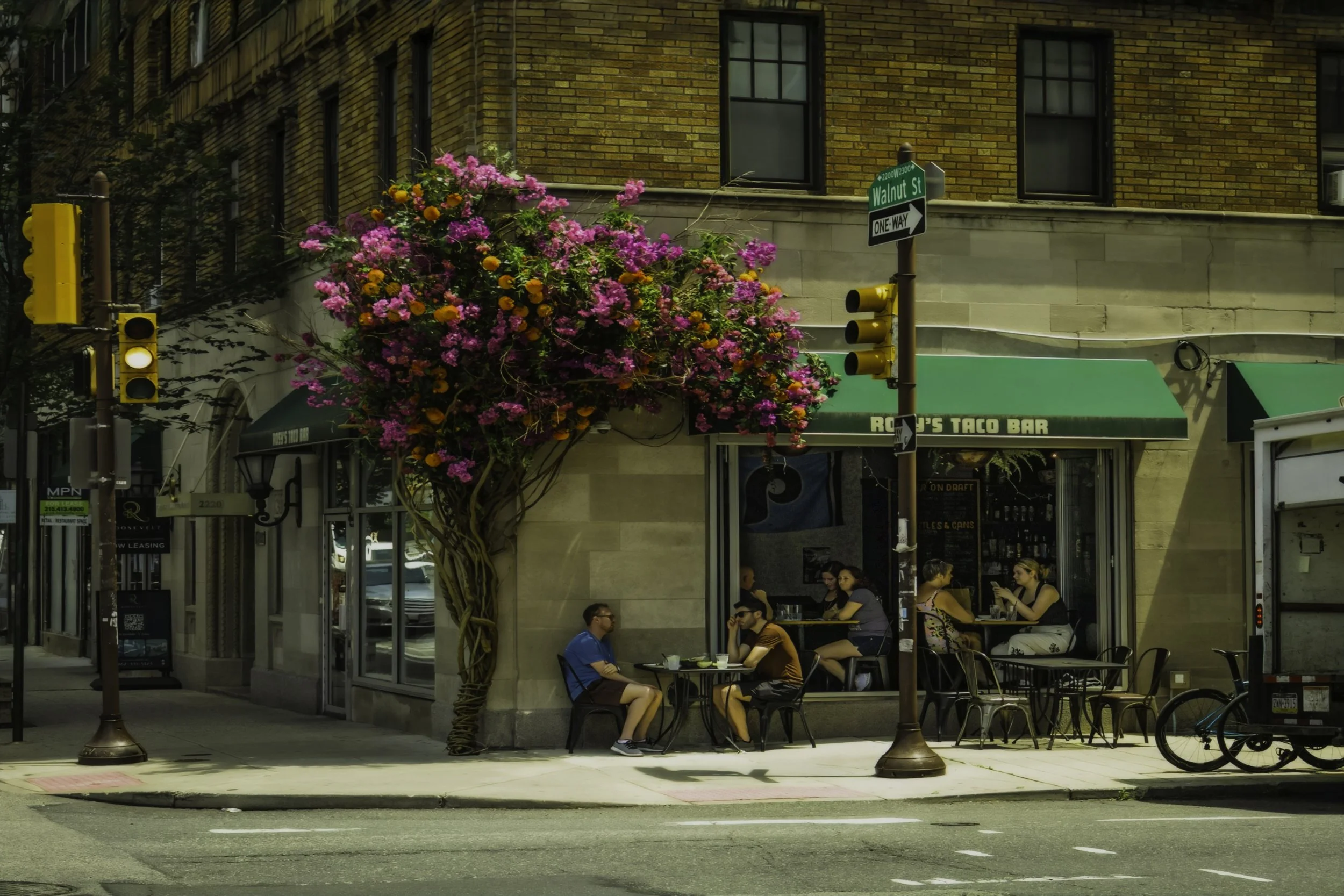 Petals, Pavement, and Patio Chairs
Flowering tree spreads above outdoor diners seated at the corner of a brick restaurant. 