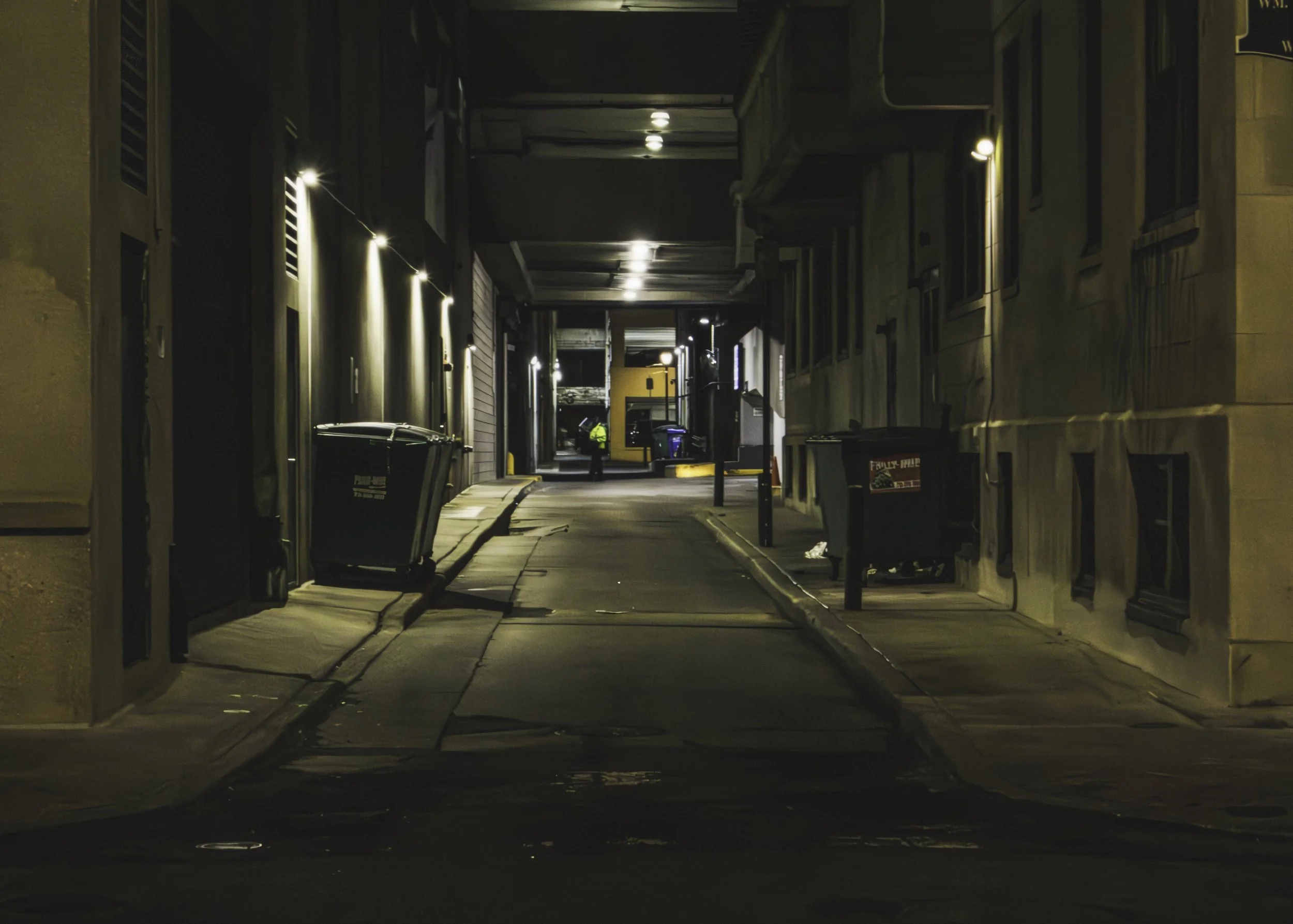 End of the Block
Narrow city alley with overhead lights, trash bins, and a lone figure in the distance.