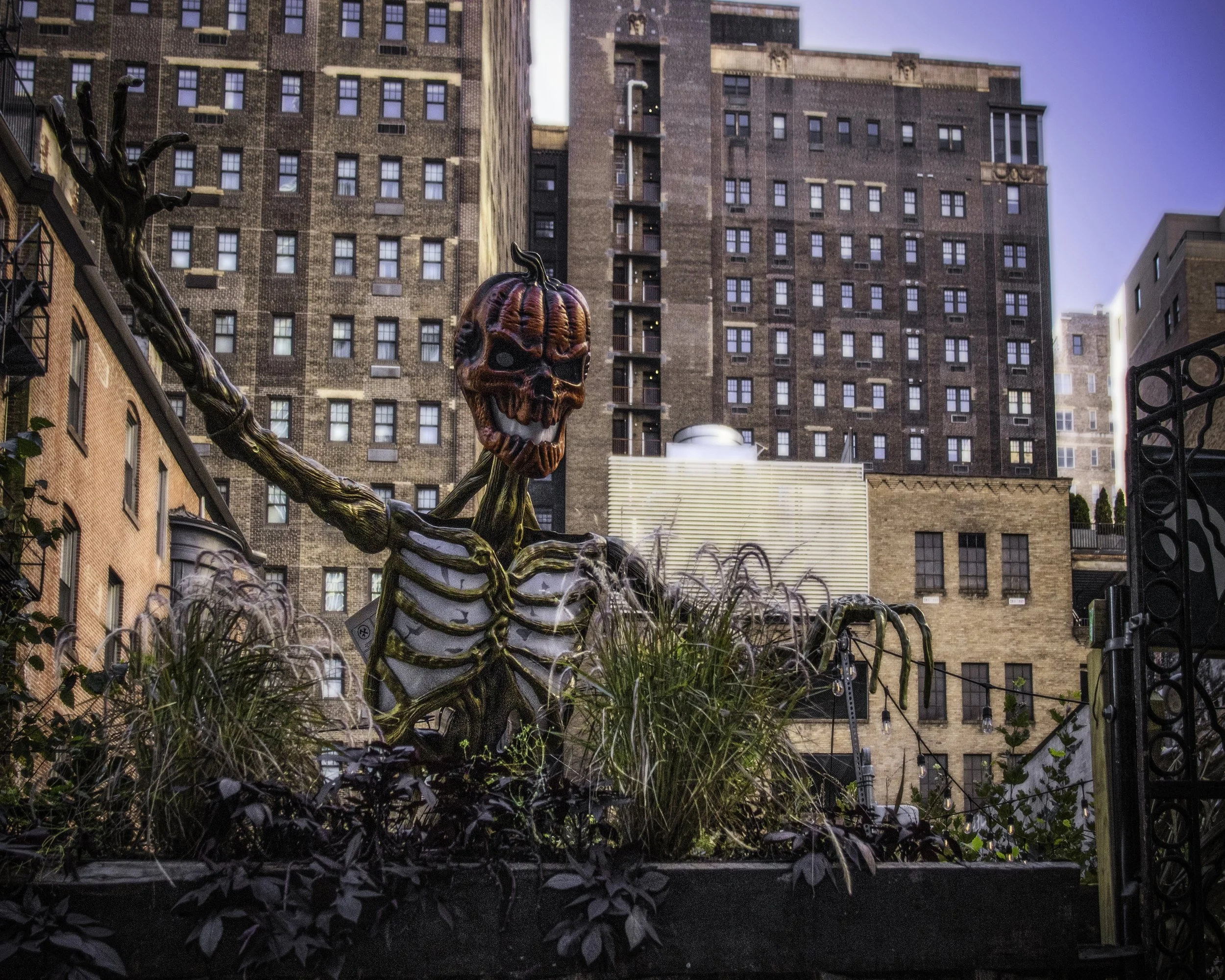 Rooftop Reaper Reaching Out
Giant skeletal pumpkin decoration reaches upward from a rooftop garden against a backdrop of apartment buildings. 