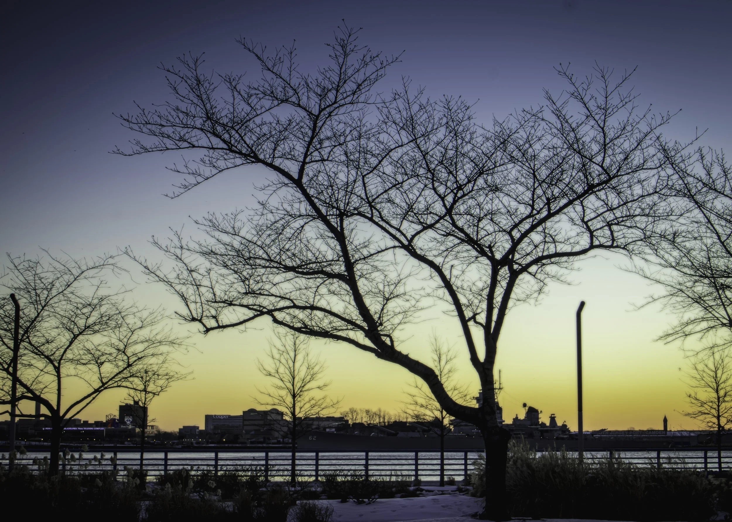 Branches Against First Light
Bare winter trees frame a riverfront view at dawn, with shipping structures and low buildings across the water.