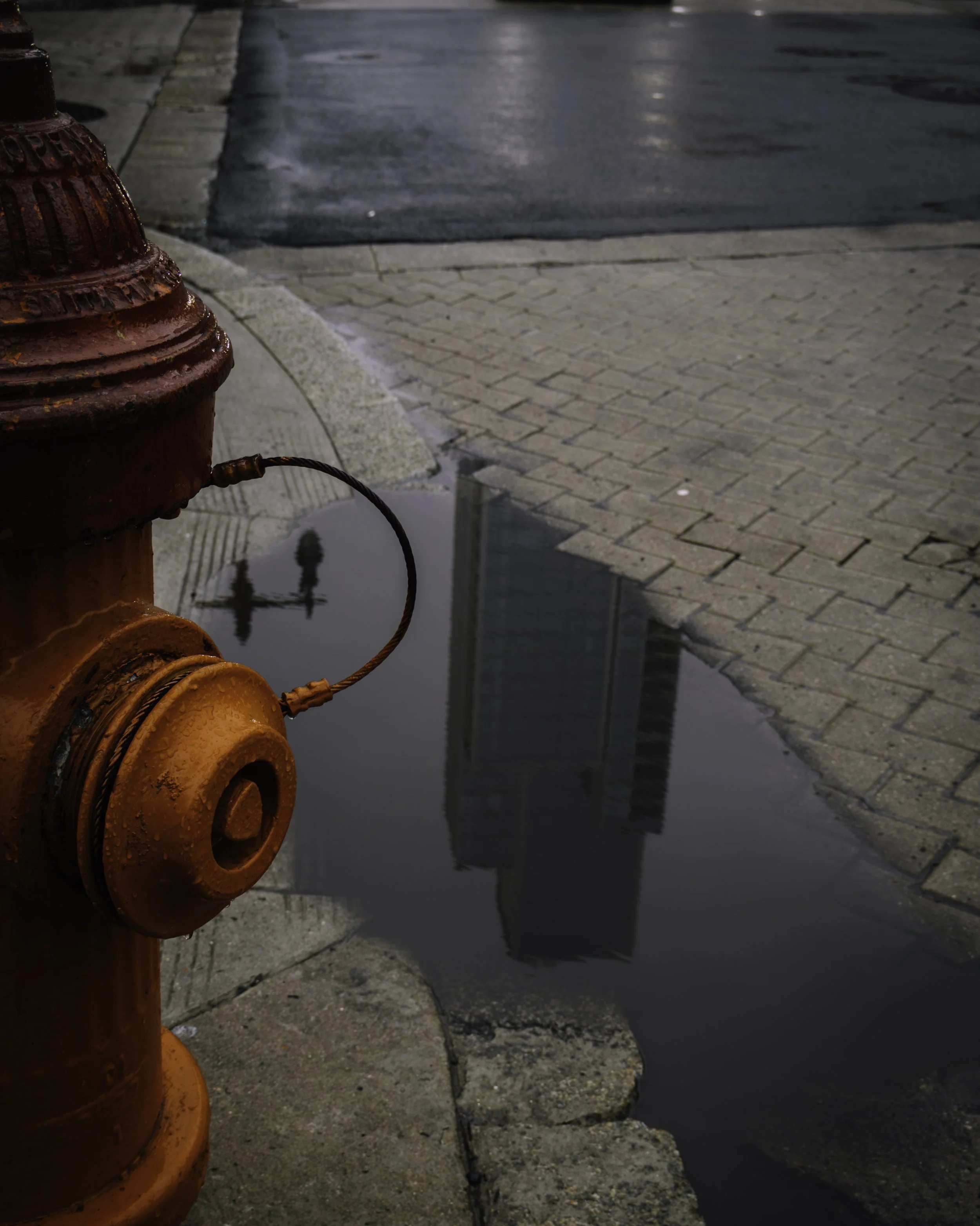 Hydrant and Reflection
Rust-colored fire hydrant stands beside a puddle reflecting a tall building and a streetlamp.