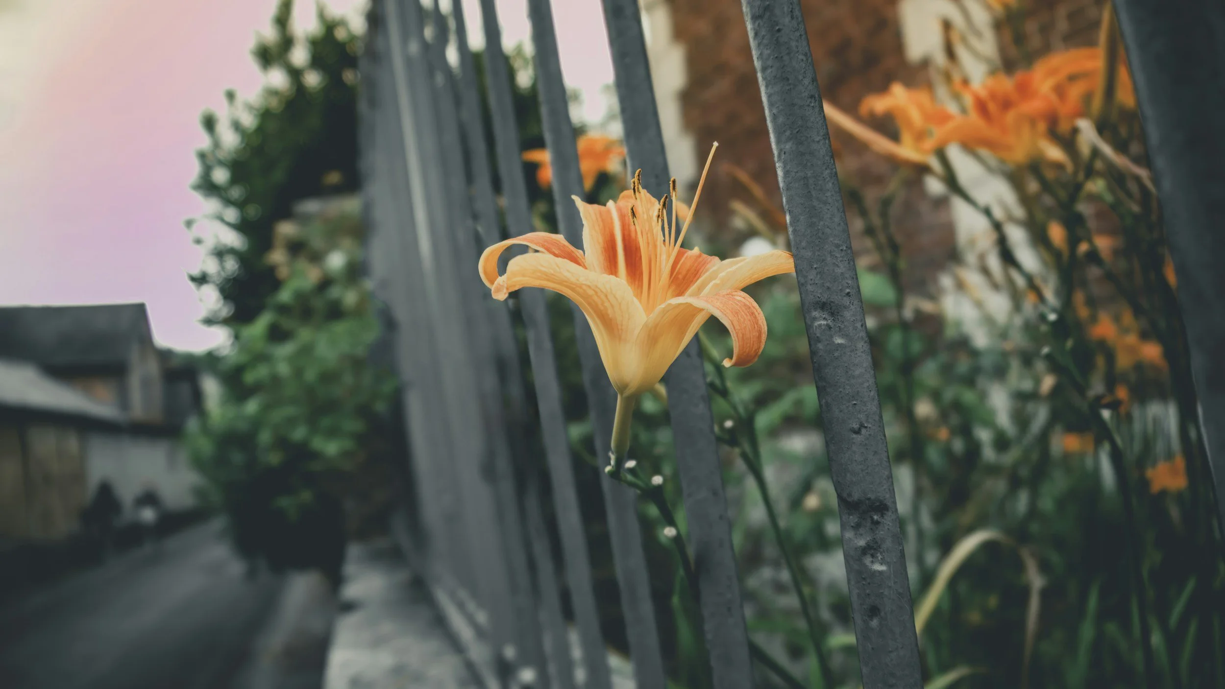 unsplash-image-RWfP13dyhl8.jpg