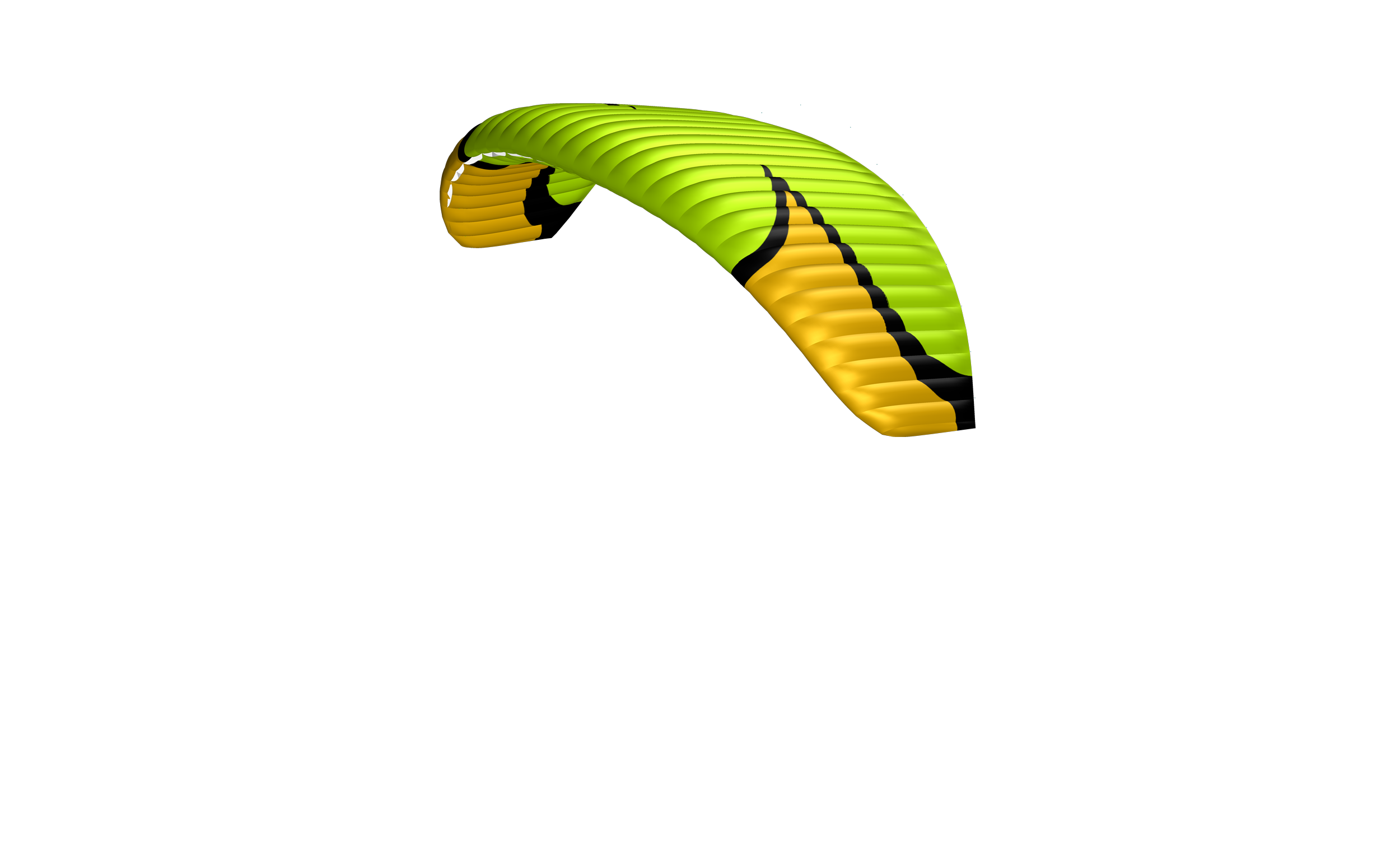 Roller 3D_ananas.png
