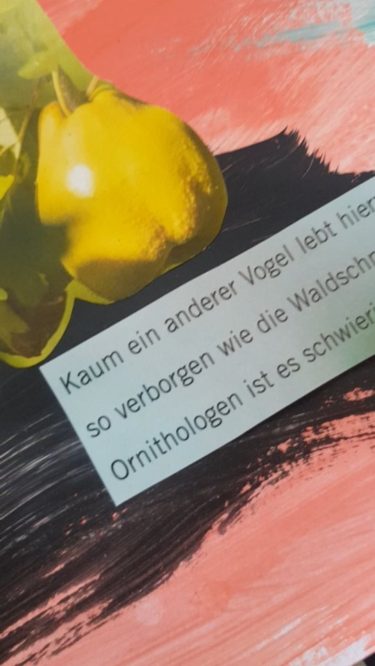 Kannst du sie erkennen?
Die sich rhythmisch in meinem Herzen windenden Ströme? Die das Gewebe formen, welches sie durchfließen und die Zeit in es hinein schreiben?
Und wenn du diese Zeit verlässt, um an einem anderen Ort zu suchen,