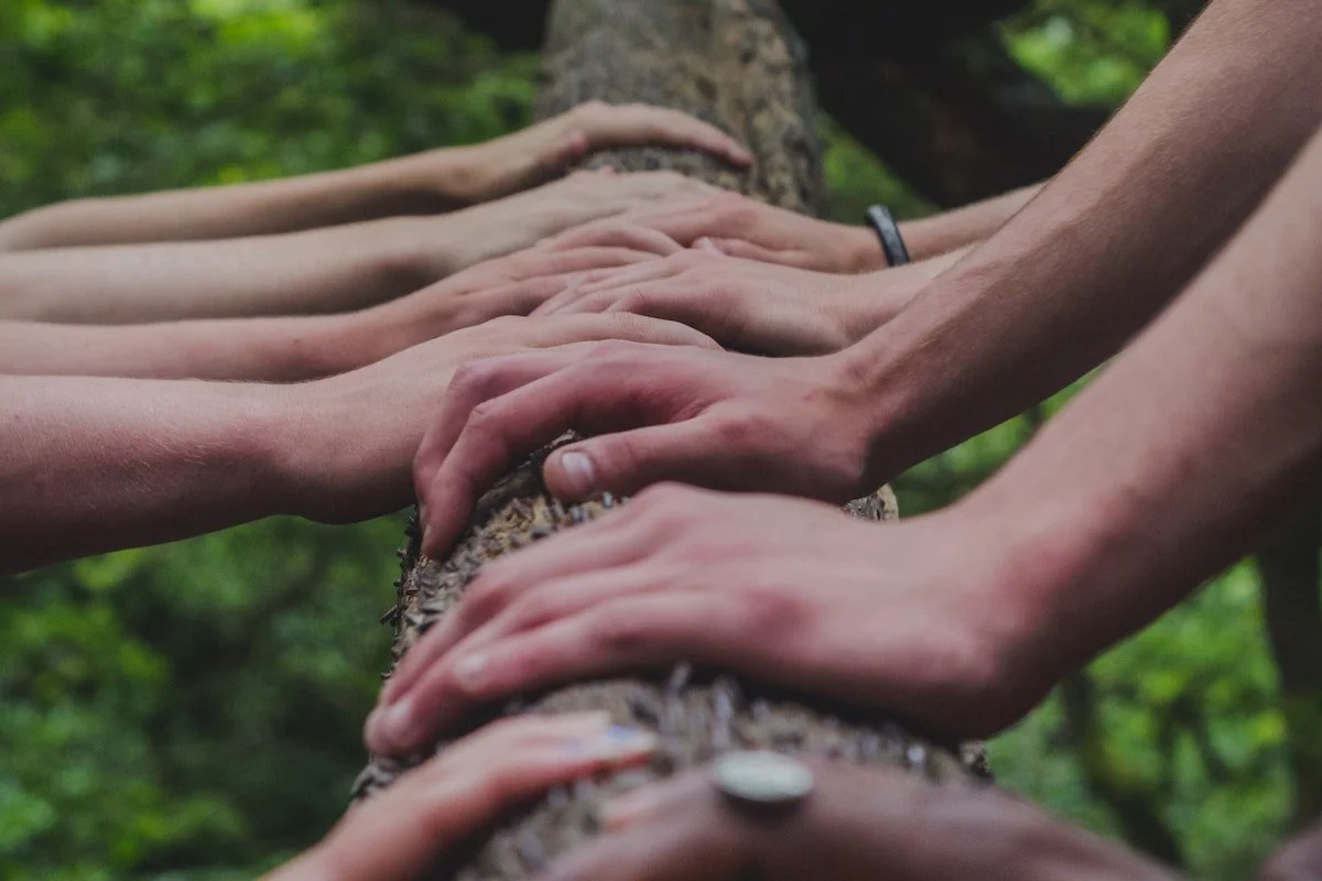 Building your most important asset – your team