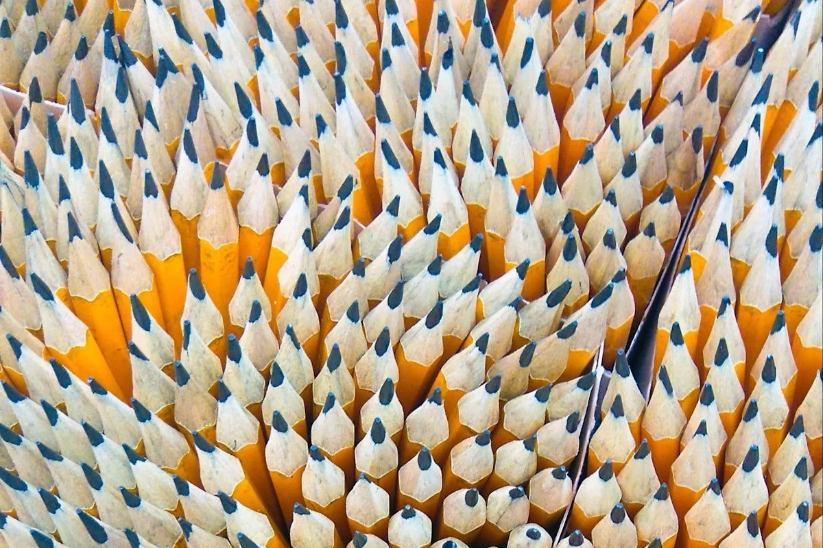 Knowing your team's learning styles is good for business