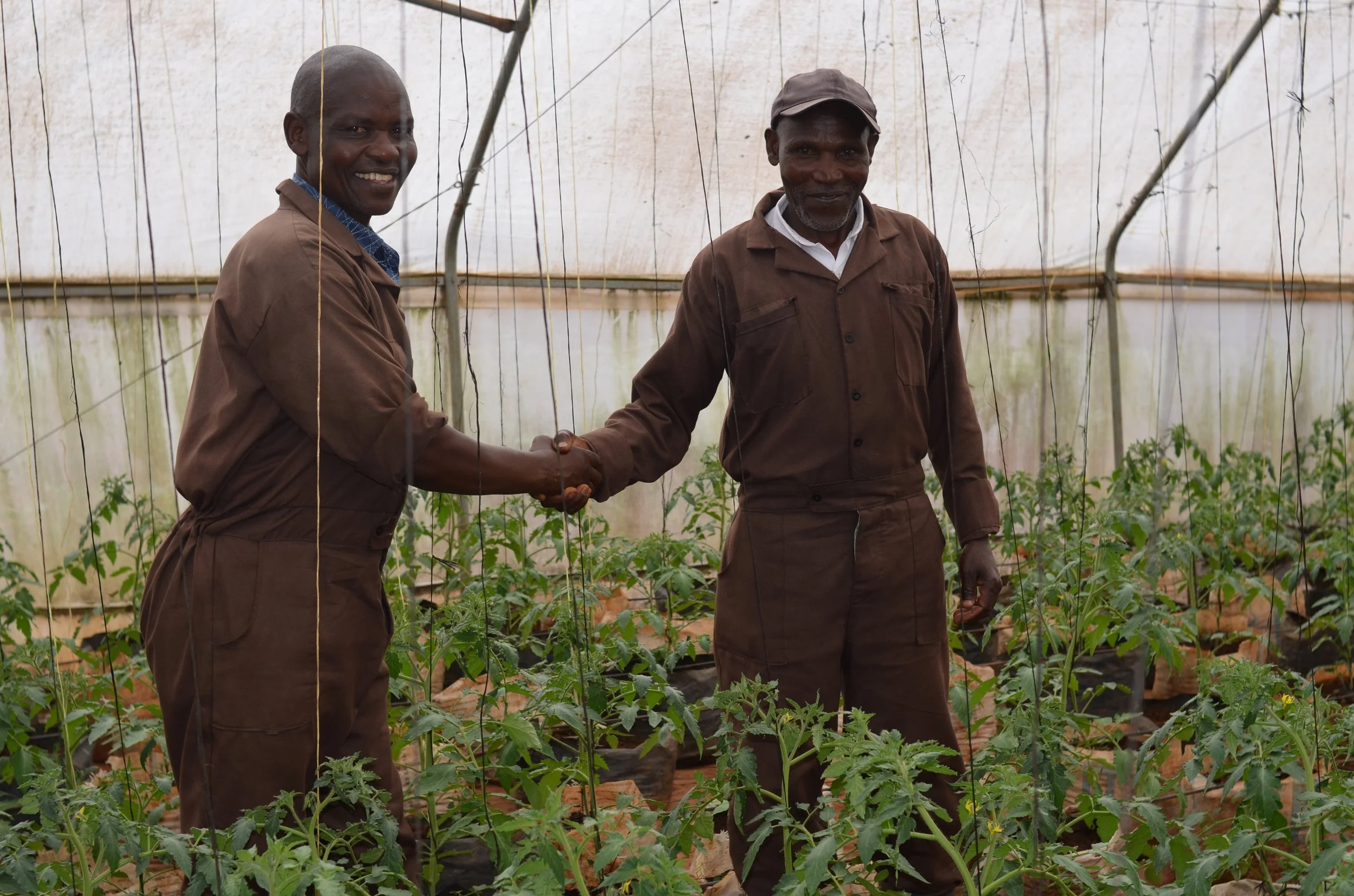 Annnual Charity Report for The Boo Charity June 2024-2025