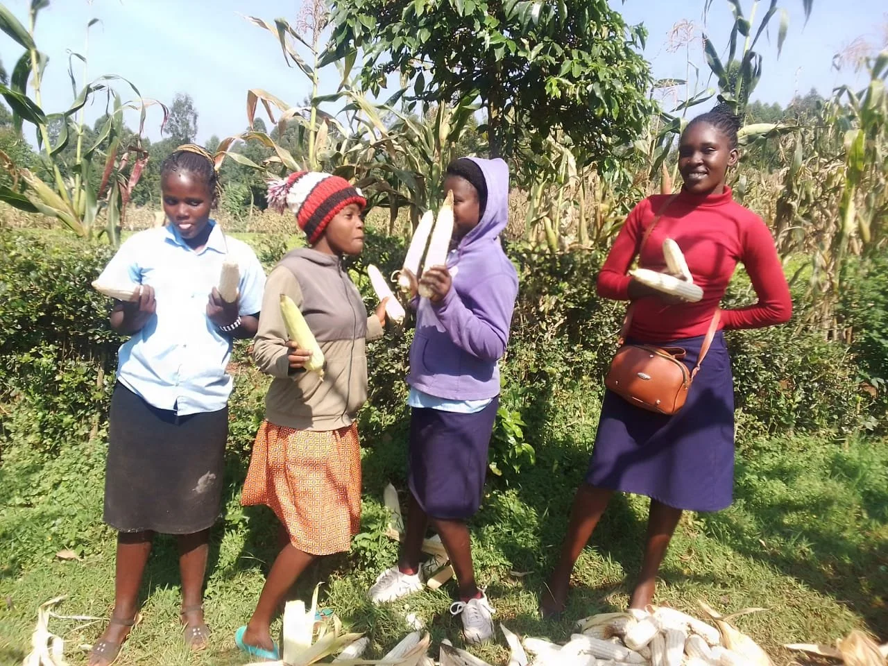 WhatsApp Image 2024-07-11 at 08.57.41.jpeg