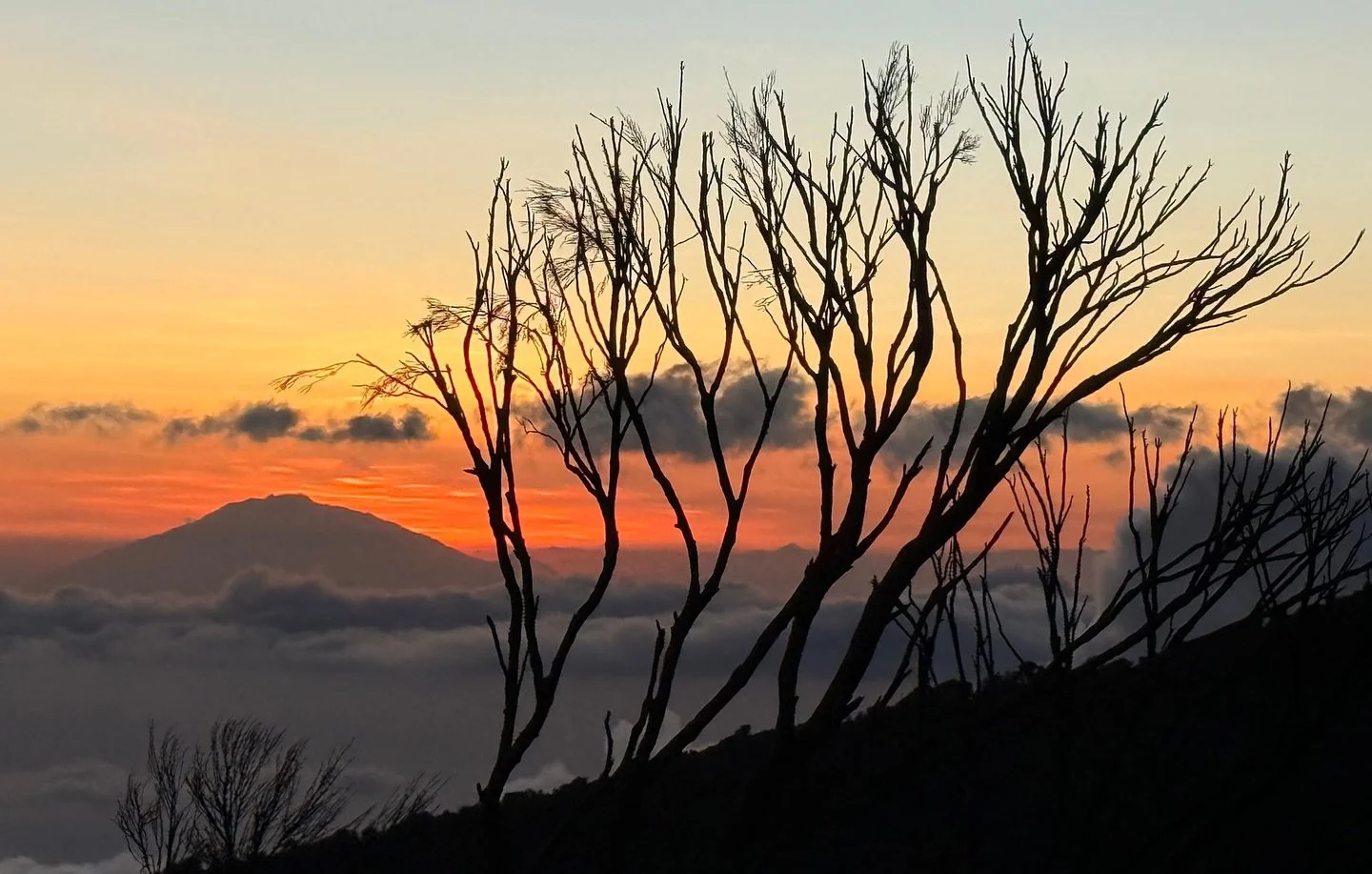 This is what Kilimanjaro feels like.
A moment above the clouds with a team who takes you higher, Peak Expeditions Tanzania. 💛

#PeakExpeditionsTanzania #ClimbWithUs #BucketListAdventure